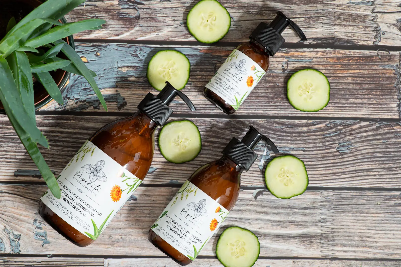 Piperita natúr bőrnyugtató testápolók uborkaszeletek és aloe vera mellett, rusztikus fa alapon, felülnézeti kompozícióban.